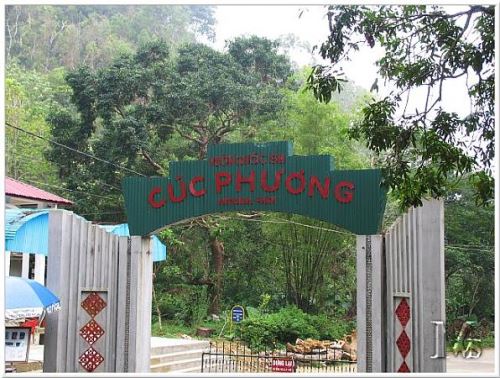 Cuc Phuong
